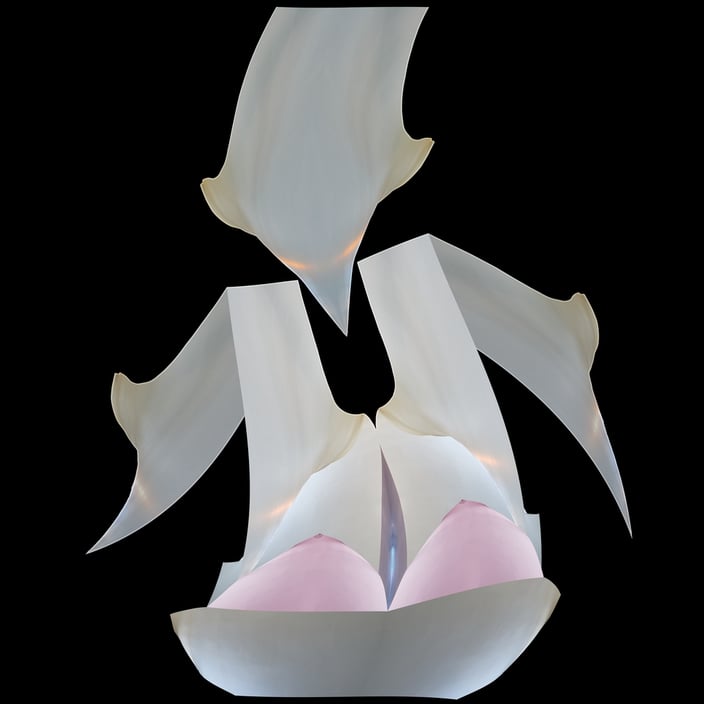 Prédateur - 2019 - 100x100 cm