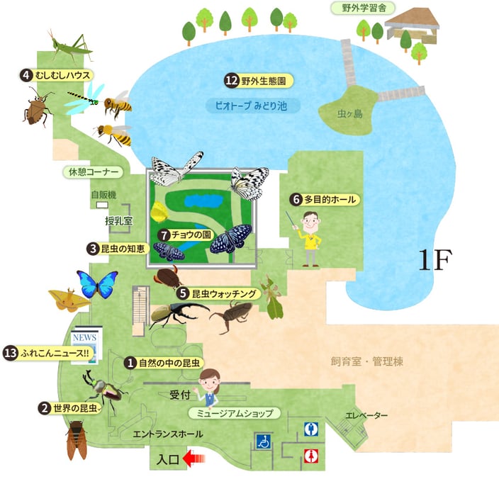 ふれあい昆虫館１F