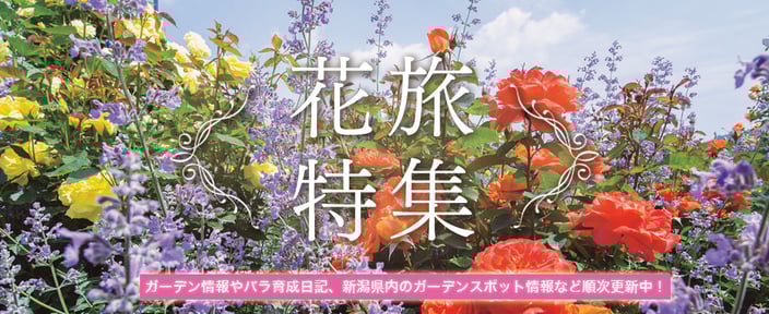 花旅特集ページ