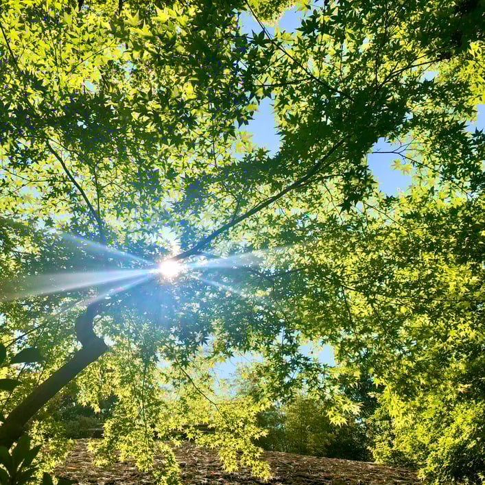 京都市下京区四条烏丸の心療内科、女医のいるメンタルクリニック