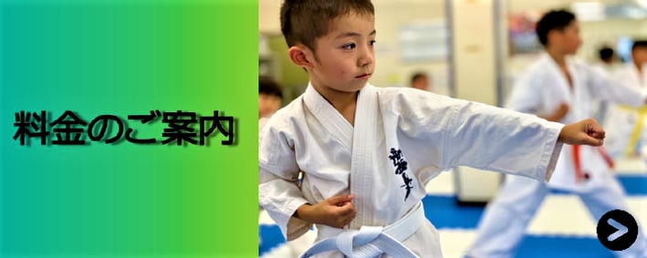 月謝　安い　料金　空手　案内　費用　空手　埼玉　さいたま市　子供　習い事　大人　スポーツ　格闘技　カラテ　小学生　中学生　高校生　大学生　シニア
