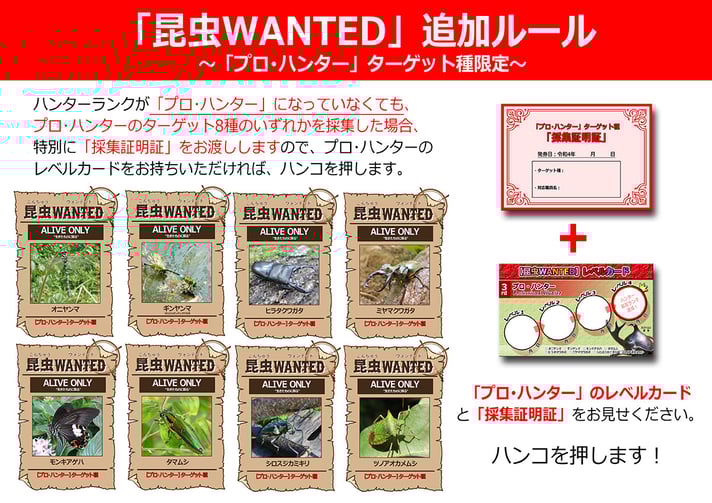 「昆虫WANTED」追加ルール