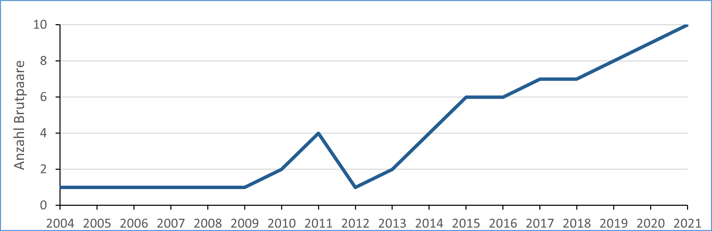 Bestandsentwicklung Brachvogel von 2004 bis 2021