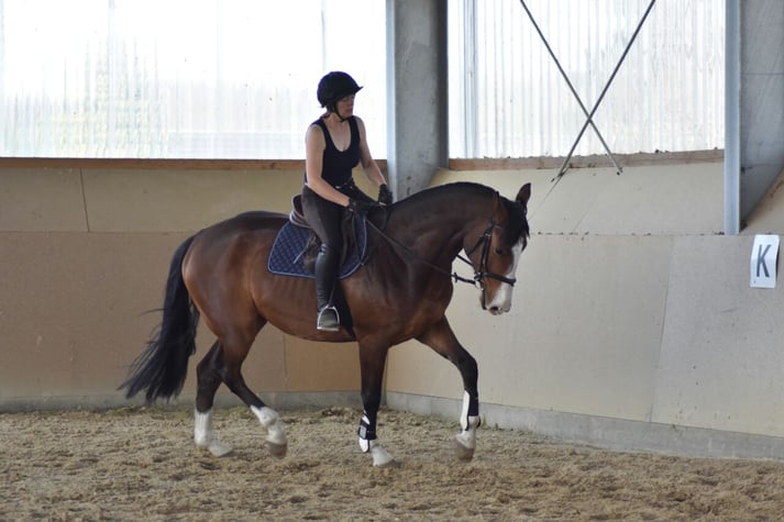 Grundausbildung von Casimir