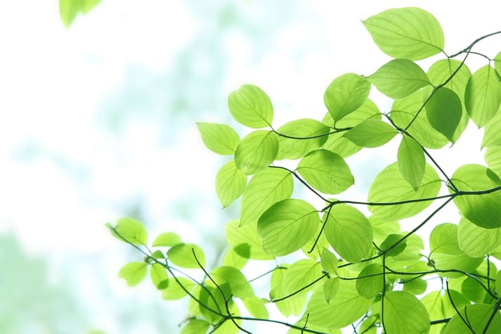 ストレスを解消し、前向きな気持ちでいられるように運動習慣を取り入れてみましょう