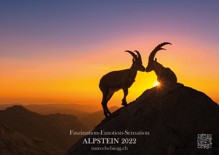 Wandkalender, Kalender, Marcel Schiegg, Alpstein, Appenzell, Appenzellerland, Alpsteinbilder, Alpsteinkalender, Rotsteinpass, Steinbock, Appenzeller Kalender, Alpstein Kalender 