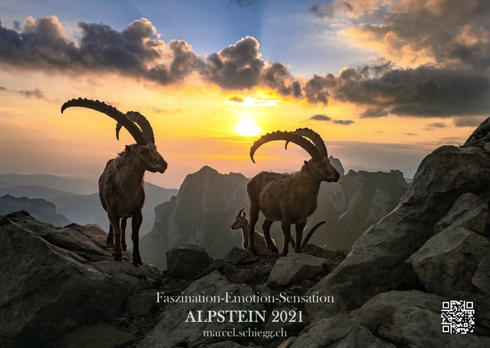 Wandkalender, Kalender, Marcel Schiegg, Alpstein, Appenzell, Appenzellerland, Alpsteinbilder, Alpsteinkalender, Rotsteinpass, Steinbock, Appenzeller Kalender, Alpstein Kalender 