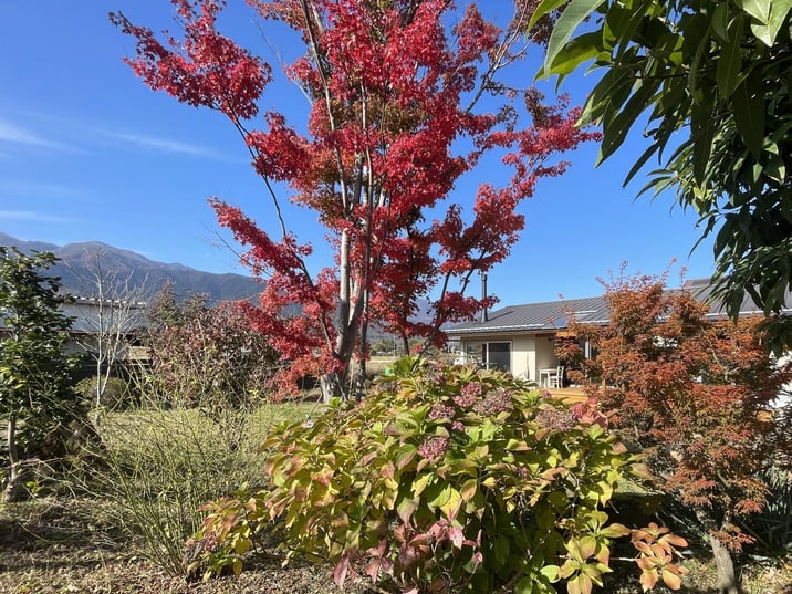 長野県　松本市　建築設計事務所　建築家　news設計室　丸山和男　住宅設計　設計監理　穂高有明の家Ⅴ　移住者の家　ナガノの家　2022秋冬号