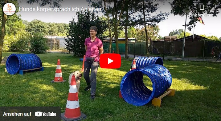 Eine Frau und ein Hund inmirren von Tunneln und Pylonen auf einer Rasenfläche.