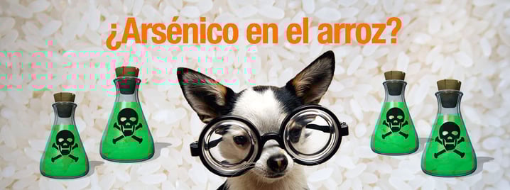 Arroz pienso perro gato