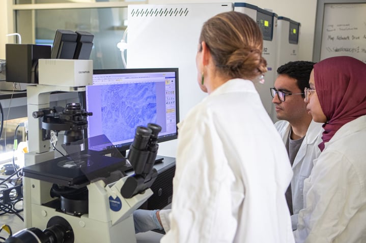 Trois scientifiques (deux femmes et un homme) observent les résultats d'analyse à travers un écran d'ordinateur dans un laboratoire avec du Miel de le microscope