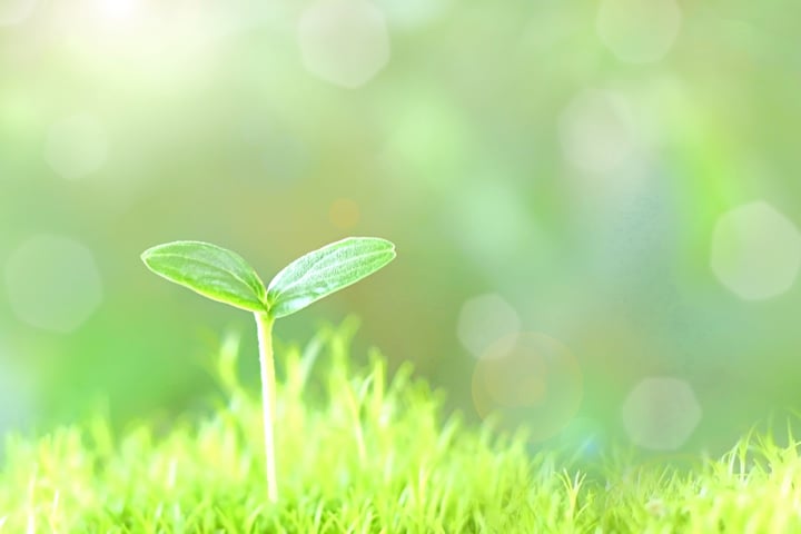 highway0435 ページ！