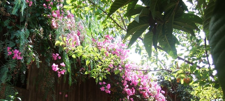 turkey yoga retreat solo traveller