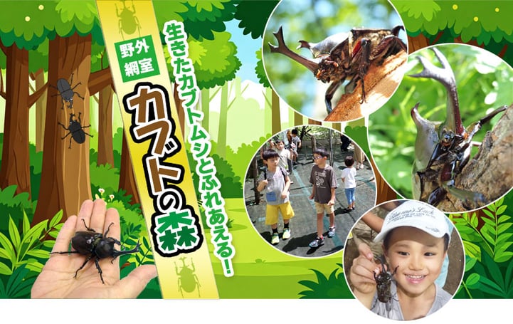 野外網室「カブトの森」オープン！