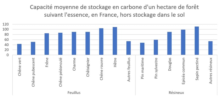 Combien de CO2 absorbe un arbre en fonction de l'essence plantée, produit de la réaction chimique de la photosynhèse.