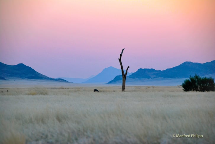 Dämmerung in der Namibwüste, Namibia