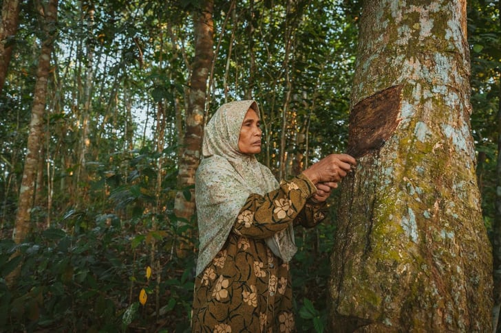 Schwalbe setzt sich für den fairen Handel mit Naturkautschuk ein und unterstützt aktiv die Verbesserung der Lebens- und Arbeitsbedingungen von Kautschuk-Zapferinnen und -Zapfern.