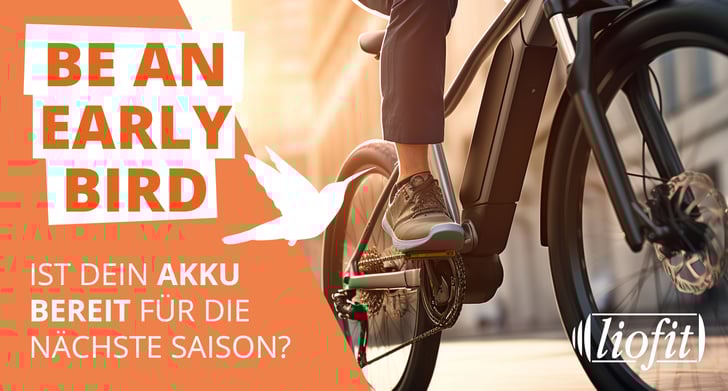 Early Bird: Ultra schnelle E-Bike Akku Reparaturen! Nur für kurze Zeit (bis Ende Februar)