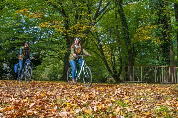 Während der Laubfärbung im Herbst ist eine Radtour durch das Lausitzer Seenland besonders reizvoll. Foto: Tourismusverband Lausitzer Seenland, Nada Quenzel