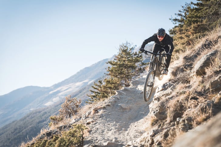 ROTWILD R.E735 CORE in Action