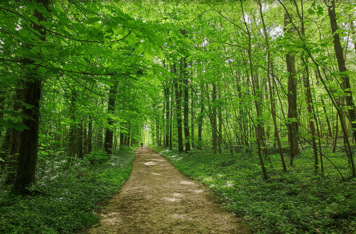 Domaine de Saint-Cloud und Bois de Fausses Reposes, Frankreich ©buycycle