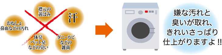 お布団丸ごと水洗い　/　和多屋ふとん店