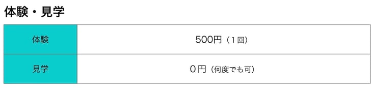 ダンスとは一味違うカリキュラムをまずは見学体験ください！見学無料、体験500円でお待ちしています。