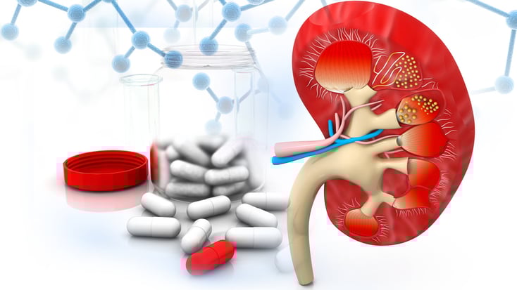 ParoSphère | Fonction rénale et parodontite. Crédit photo: © bluebay2014.