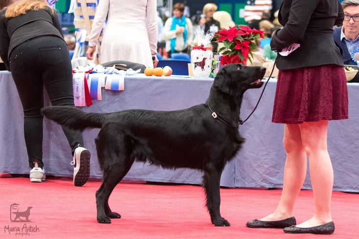 Caro mit Scius (Bild Maria Antich)