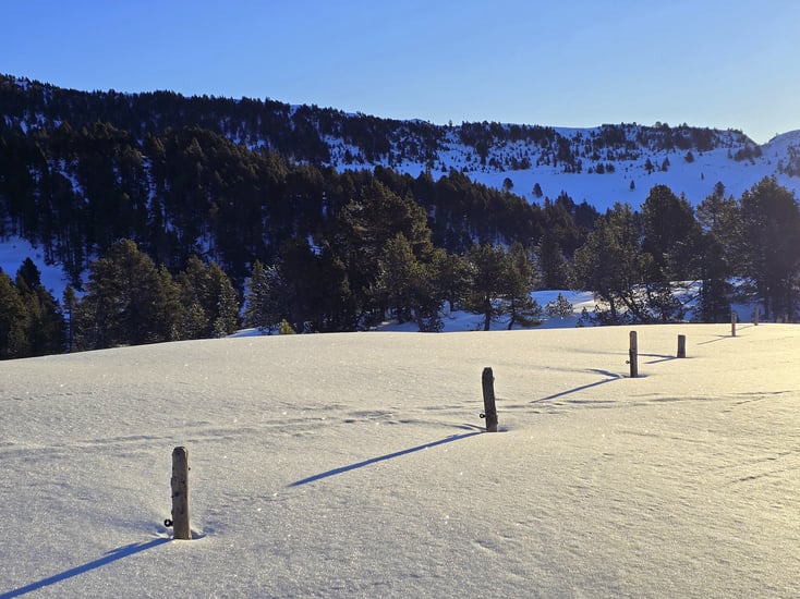 DANKBARKEIT + LIEBE - Fürsteinalp, Sewen 