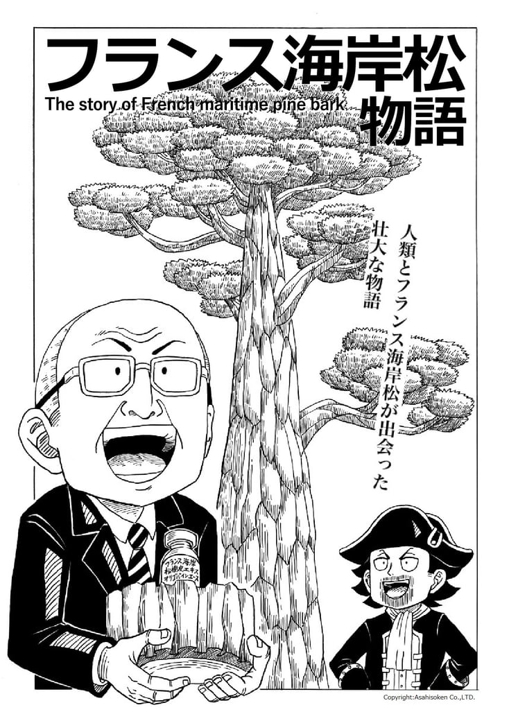 人類とフランス海岸松が出会った壮大なストーリー