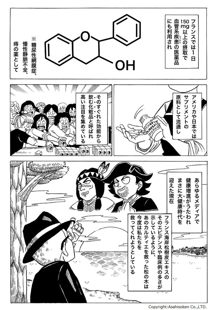 フランス海岸松樹皮エキスは、フランスでは血管保護の医薬品として、アメリカ日本ではサプリメントとして、今度は現代人を助けている