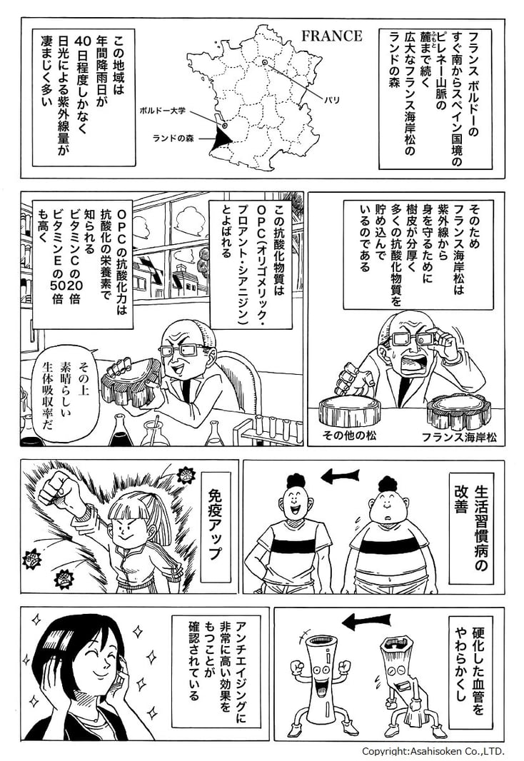 カルティエたちを助けた木の皮は松の樹皮であり、その研究を進めるとすばらしい健康成分であることが分かった