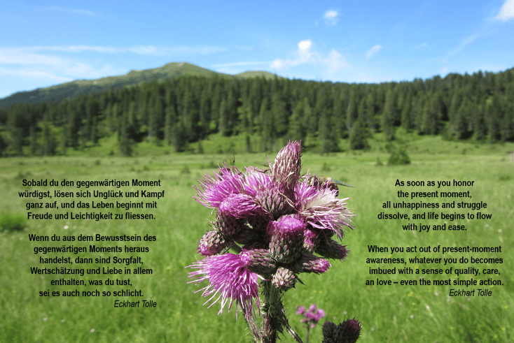 Bild anklicken und einen Moment nichts tun, nichts wollen - nur atmen.