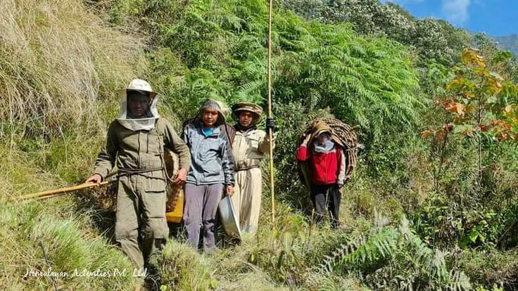 ネパールのハニーハンターさん