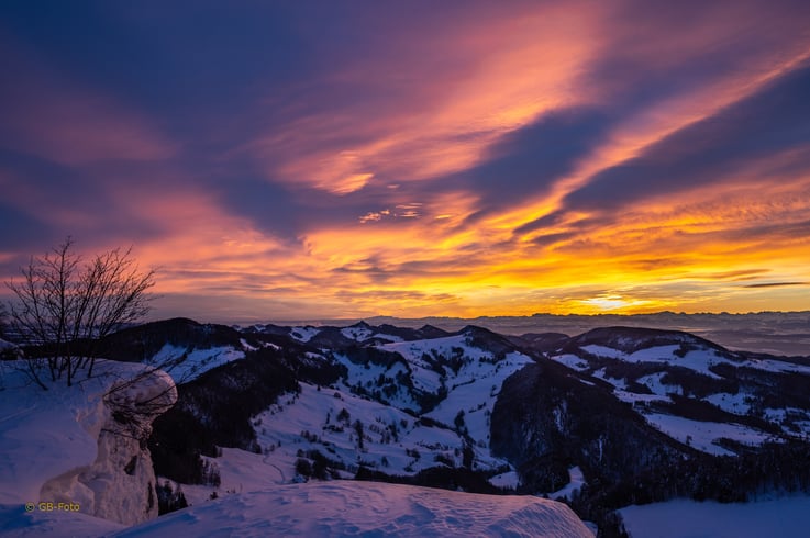 Morgenglühen auf dem Vogelberg