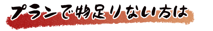 プランで物足りない方は