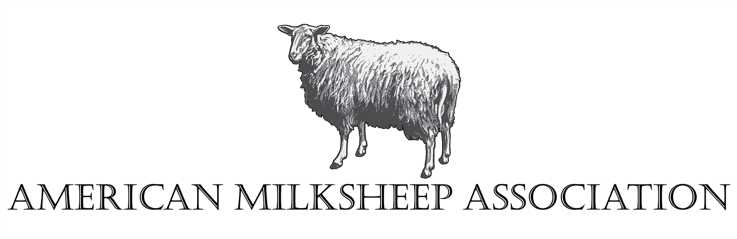 americanmilksheep