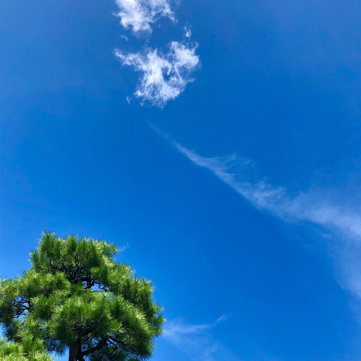 京都市下京区四条烏丸のメンタルクリニックでは、マインドフルネスを行っています、青空