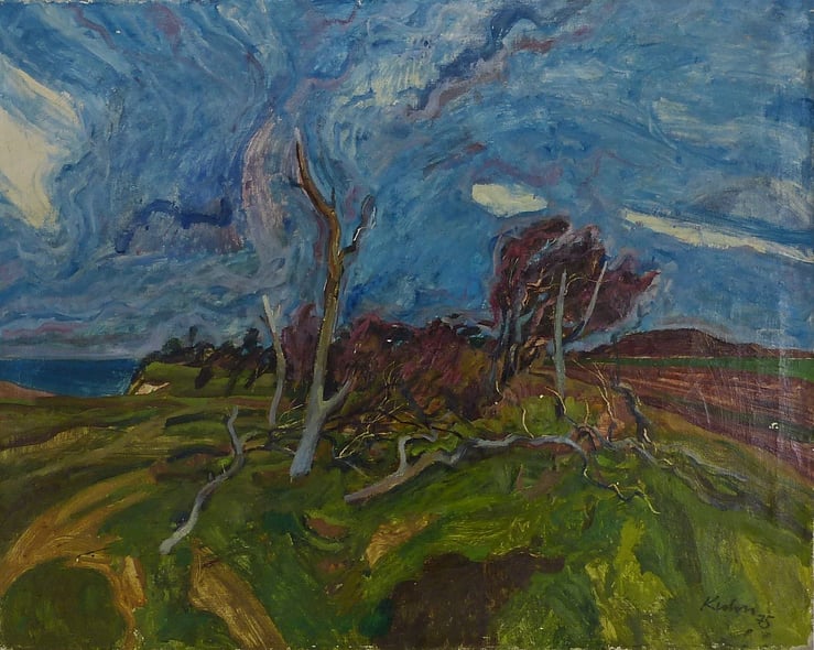 Kiefern in Ahrenshoop