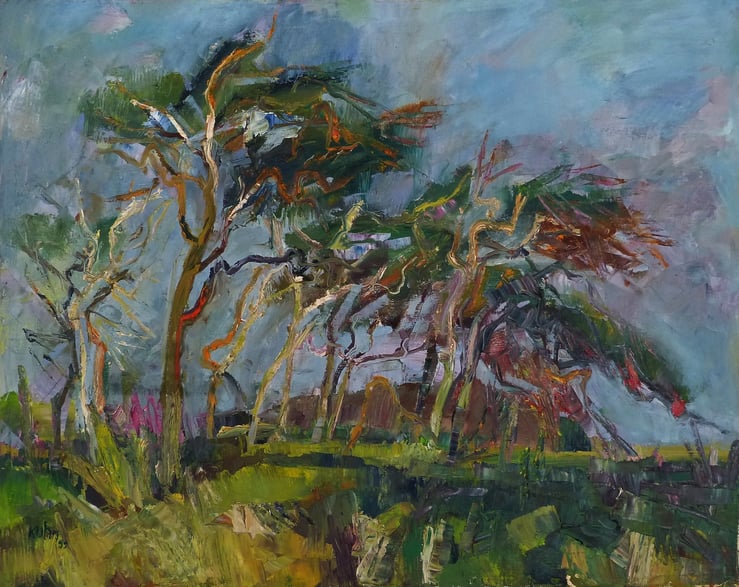 Kiefern am Weststrand