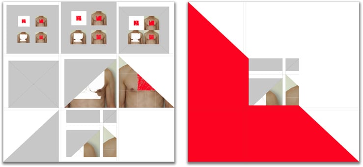 Étrange Nature | 2010