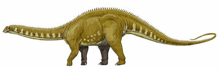 apatosaurus dinosaure du jurassique supérieur amerique du nord