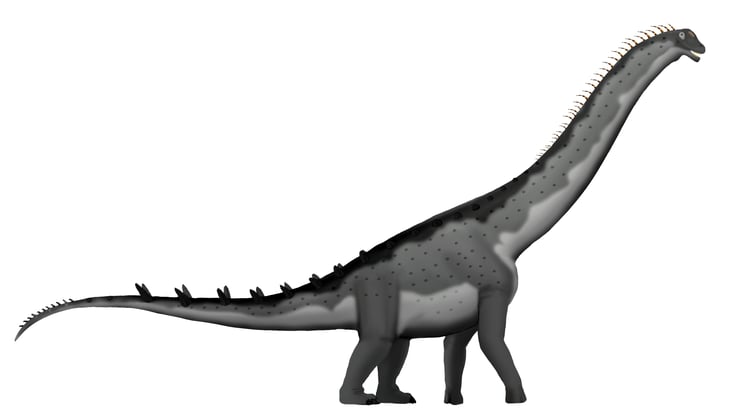 alamosaurus dinosaure du crétacé amerique du nord