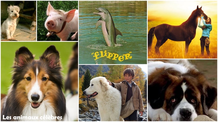 les animaux celebres