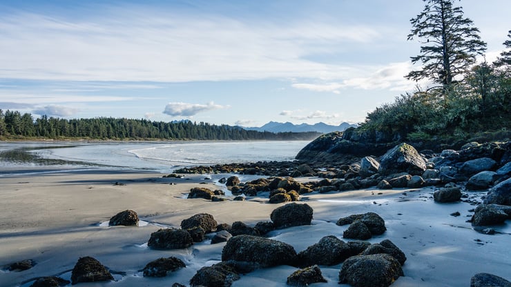 Tofino beach quaint coastal village vancouver island