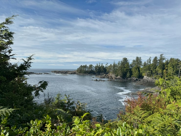 pacific rime national park forest and ocean