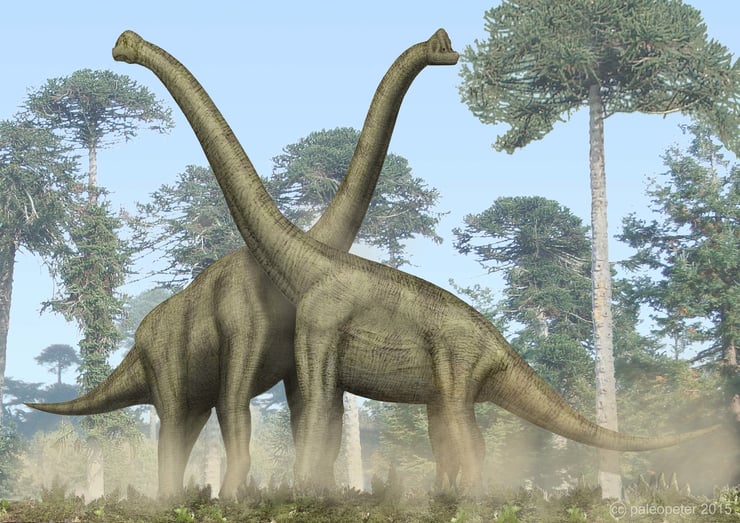brachiosaure dinosaure du jurassique supérieur amerique du nord