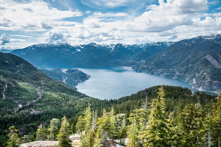 L'île de Vancouver, joyau naturel du pacifique à la faune incroyable