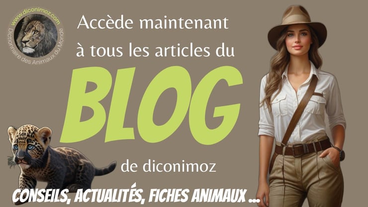 blog actualites et conseils sur les animaux du monde et de compagnie fiche animaux